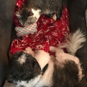 Meet your Posher, Shonda